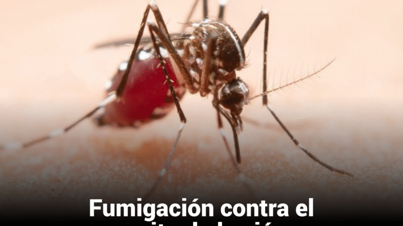Gobierno del Estado refuerza acciones contra el mosquito de la ciénaga